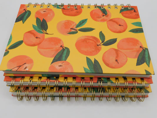 Peach Spiral 3pk Notebooks